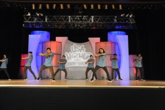USA_V_Articulate_grp